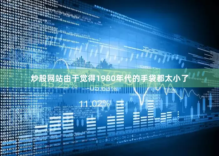 炒股网站由于觉得1980年代的手袋都太小了