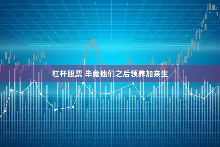 杠杆股票 毕竟他们之后领养加亲生
