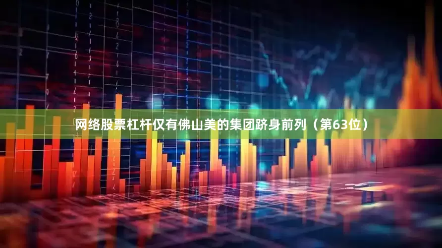 网络股票杠杆仅有佛山美的集团跻身前列（第63位）